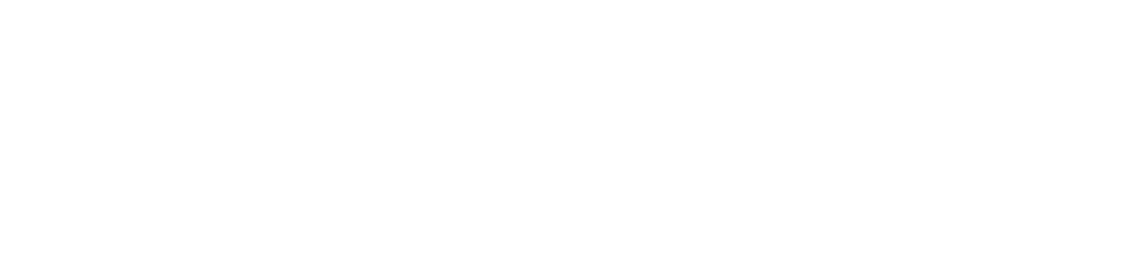 Copy of VCA-Logo-White